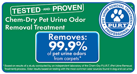 Chem-Dry's Pet Urine & Odor Removal Removes 99.9% of Pet Urine Odor
